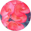 Cynthia Bst profile picture